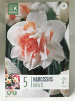 Narcissus 'Replete'