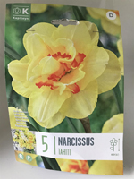 Narcissus 'Tahiti'
